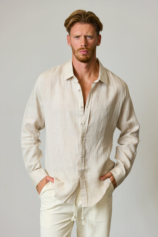 מכופתרת דארי