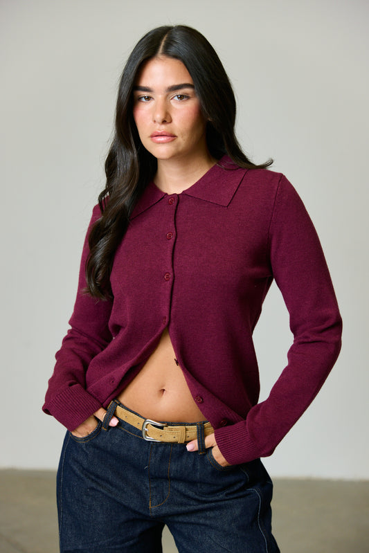 קרדיגן דנבר