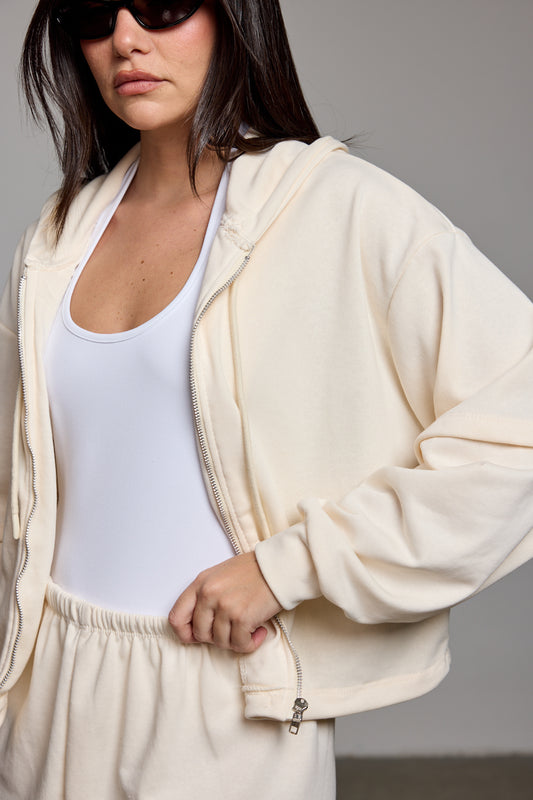 קרדיגן באני